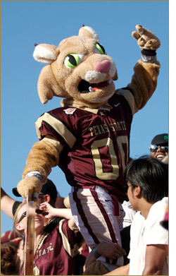 mascotboko.jpg